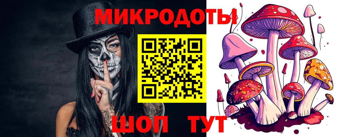 Галлюциногенные грибы GOLDEN TEACHER  Вход с VPN  Нижнеудинск 